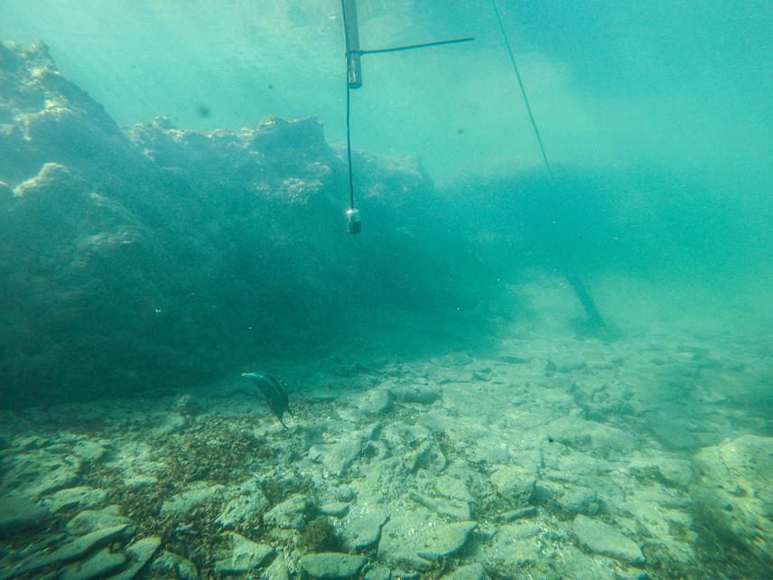 Hydrophone recording the reef environment. ©Túlio Freire Xavier.