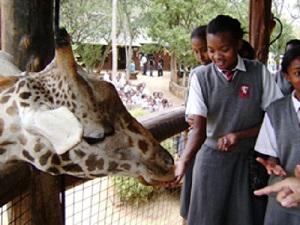 Students & Giraffe.