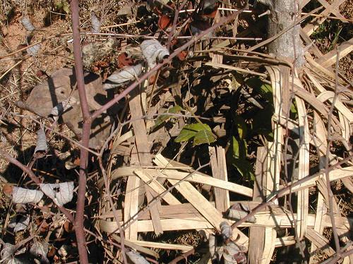 Privately planted tree species protection.