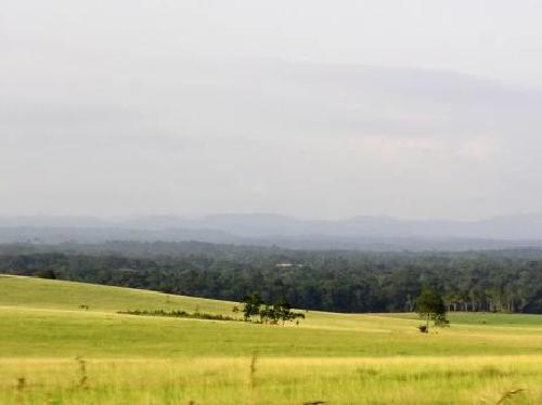Conkouati's mix of savanna and forest habitats.