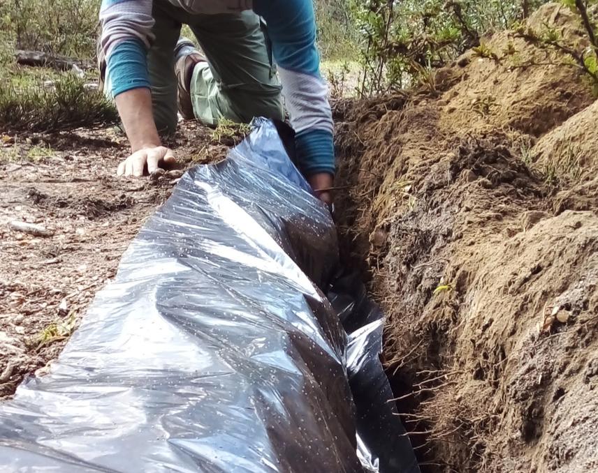 Trenching treatment.