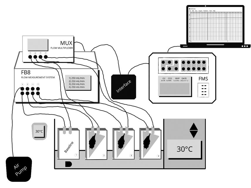 Diagram of the experimental design. A baseline chamber helped to measure data without any bat to have a control of measurement.