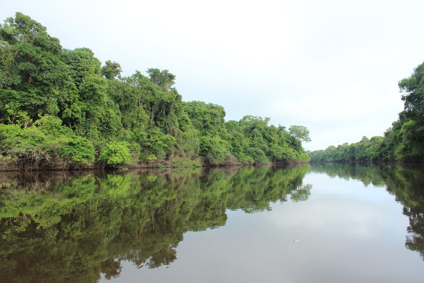 Jaú National Park during dry season. © Gilson de Souza Ferreira Neto.