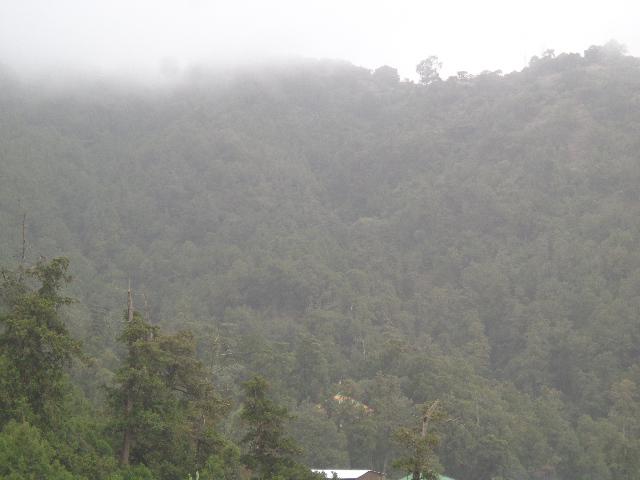 30819-1DSC00711.JPG