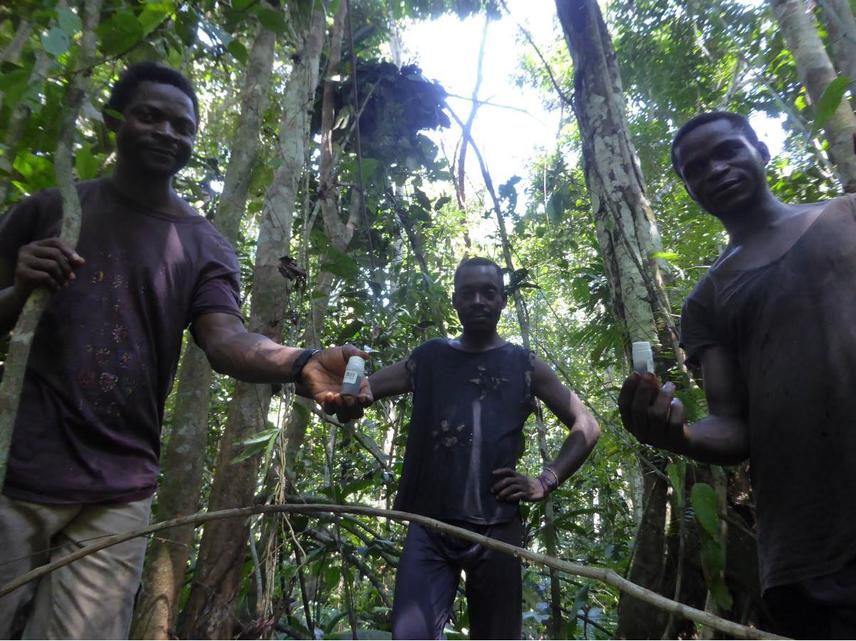 Field team display our first gorilla faecal samples!