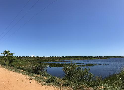 Marituba do Peixe reserve wetlands in the lower São Francisco River basin, southern Alagoas State, Brazil (March 2020). © Gabriela Gama