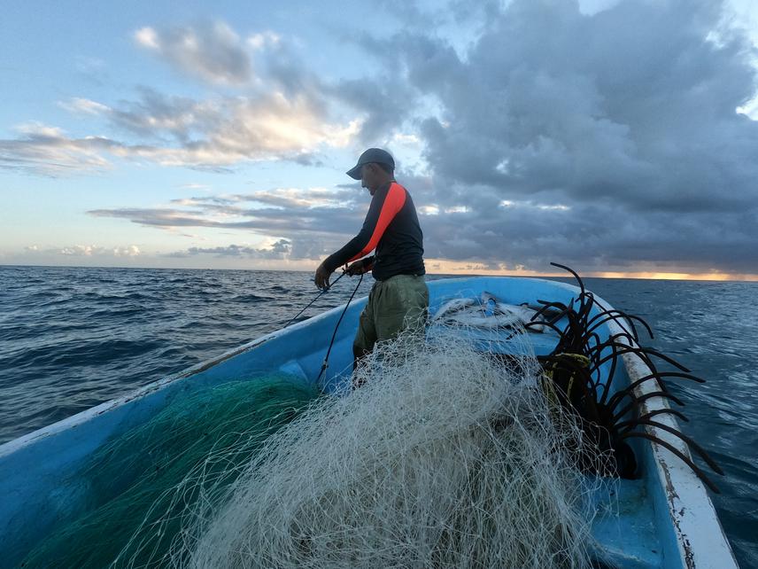 Learning of the fishing culture of Isla Mujeres. Picking up the nets before sunrise.