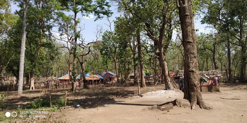 Tribal hamlet in Nagarhole National Park, Mysore