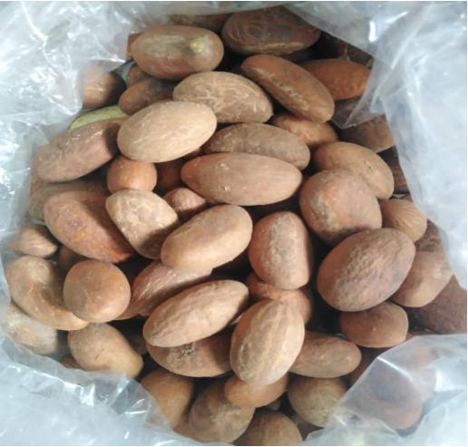 Garcinia kola seeds.