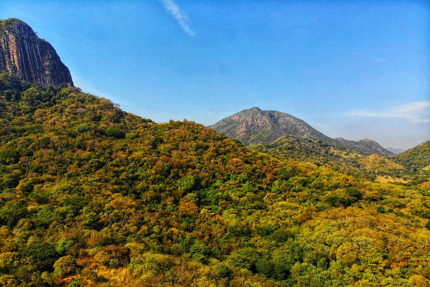 Dry season on a Mexican Seasonally Dry Tropical Forest. © Axel Arango