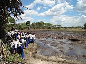 Watching hippos.