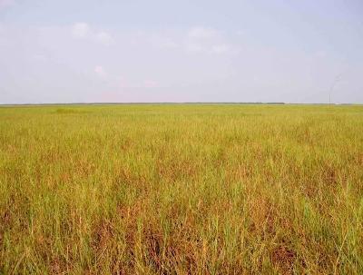 Site A - Is situated on the edge of the highland area and therefore displays a variety of flooding conditions.