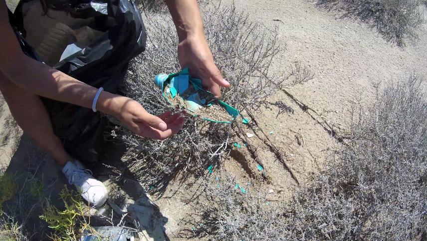 Microplastics.