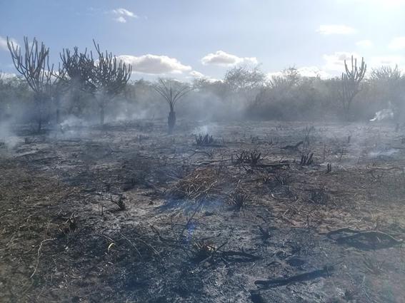 Land preparation for slash-and-burn agriculture at Catimau National Park (Pernambuco northest Brazil). © Rafaela Lins