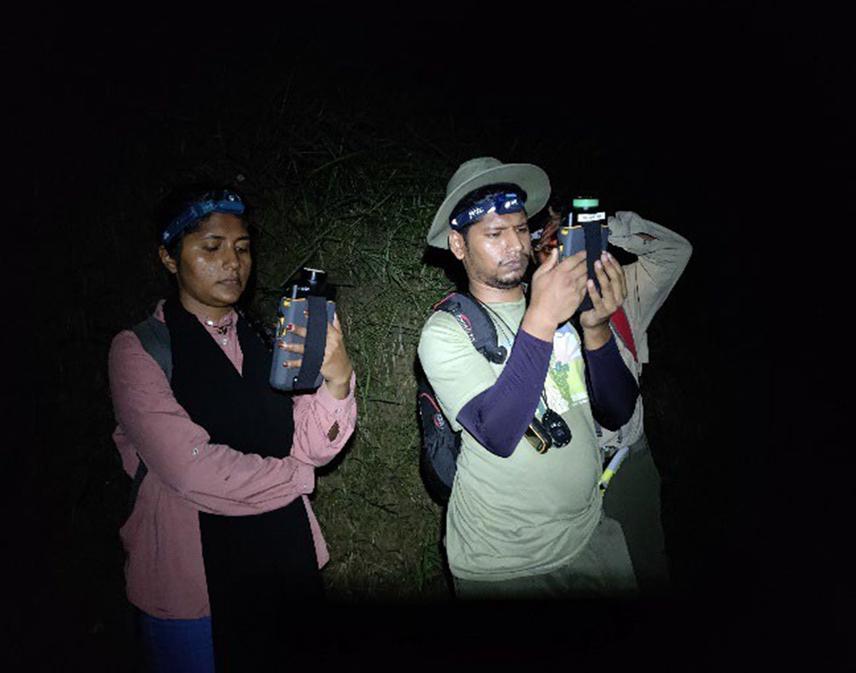 The project team members were in action, they were collecting echolocation calls of bats