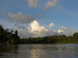 Lower Kinabatangan Wildlife Sanctuary.