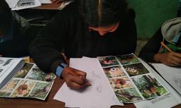 Project image