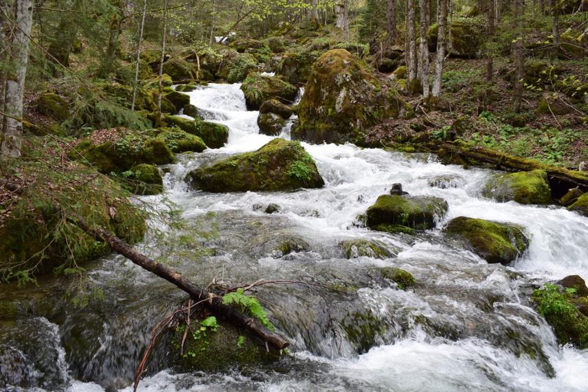 Jezernica, wild river on Vranica mountain in summer season (Mašić, 2019)