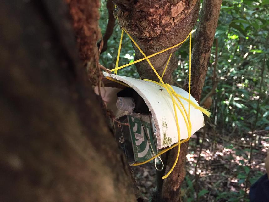 Testing how our Audiomoth recorders can be protected from rain using little roofs made of recycled PVC pipes.
