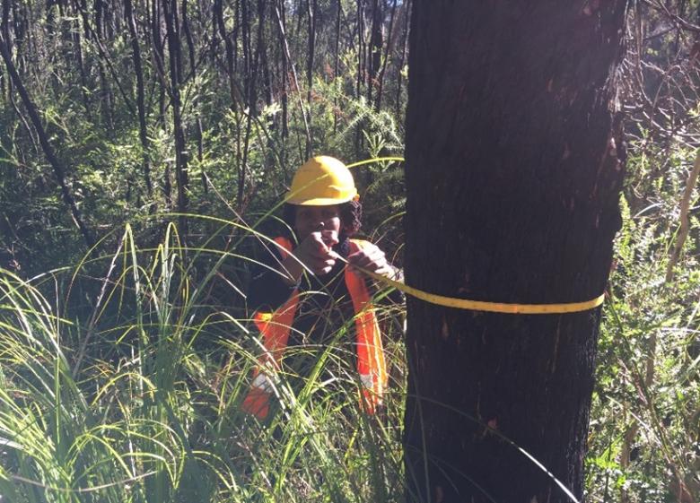 Mercy conducting fieldwork on fire severity and ecosystem recovery, five years after the Dunalley fire in Tasmania, Australia. © Prof Ted Lefroy