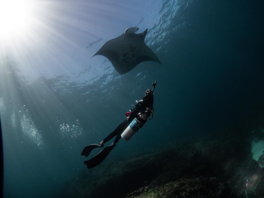 Measuring mantas.