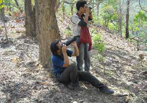 Orchid surveying with local volunteer.
