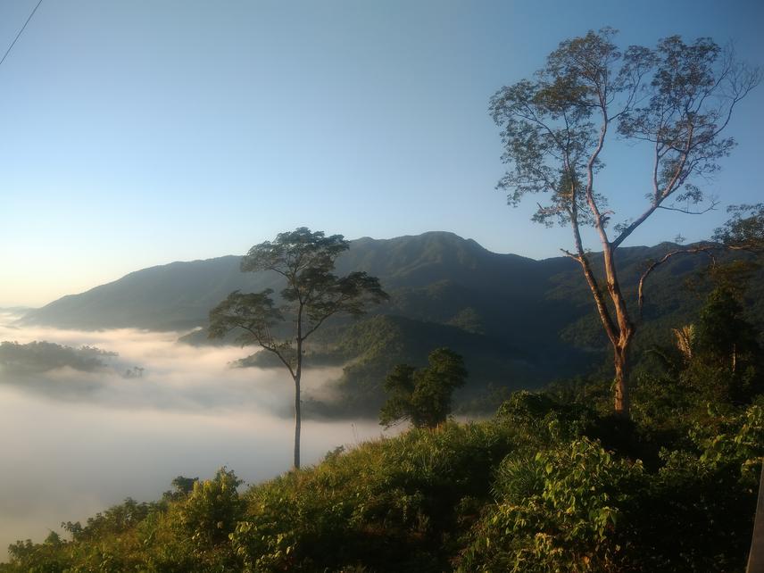 Phong Dien nature reserve. © Ho Dang Nguyen