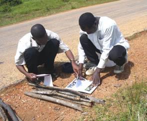 Identification of fuel-wood plant species.