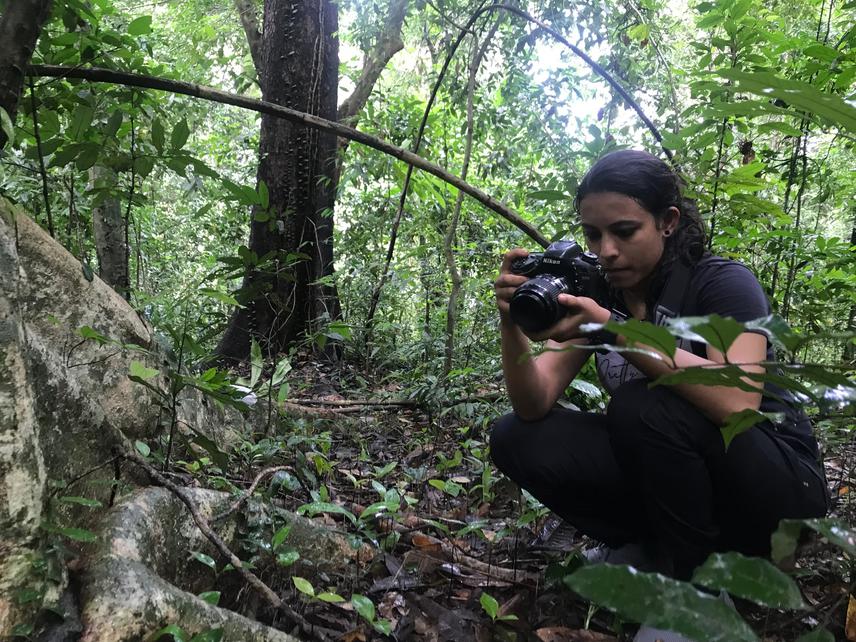 Observing seedlings of threatened species.
