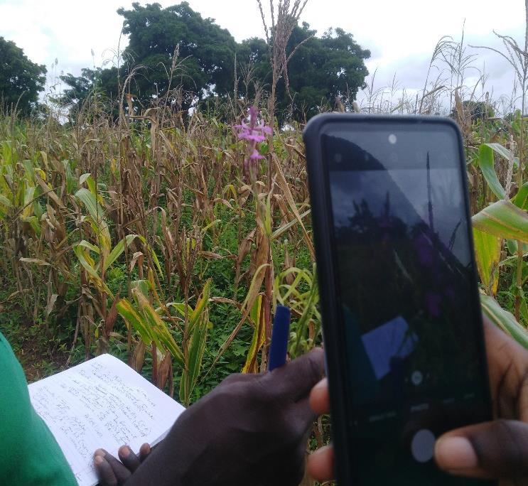 Field demonstration of the TIMBY mobile application in the Mole landscape.