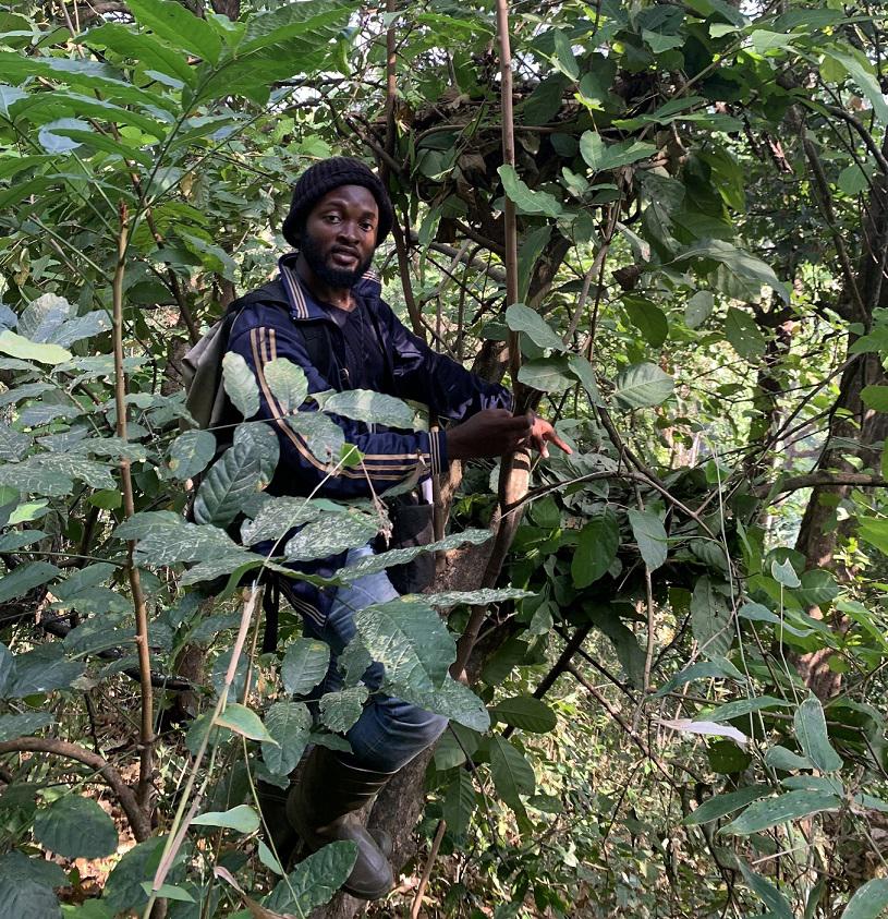 Project leader & chimpanzee nest. © Adrian Odi Eban-Odi