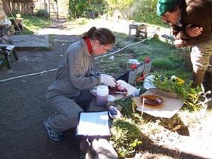 Sampling collection at the field.