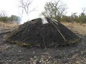 A typical charcoal kiln.