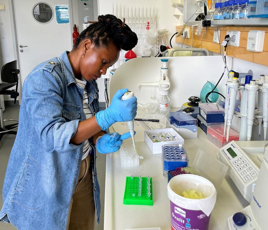 DNA extraction of snails sampled in Lakes Albert and Edward. © Marcellin Rwibutso.