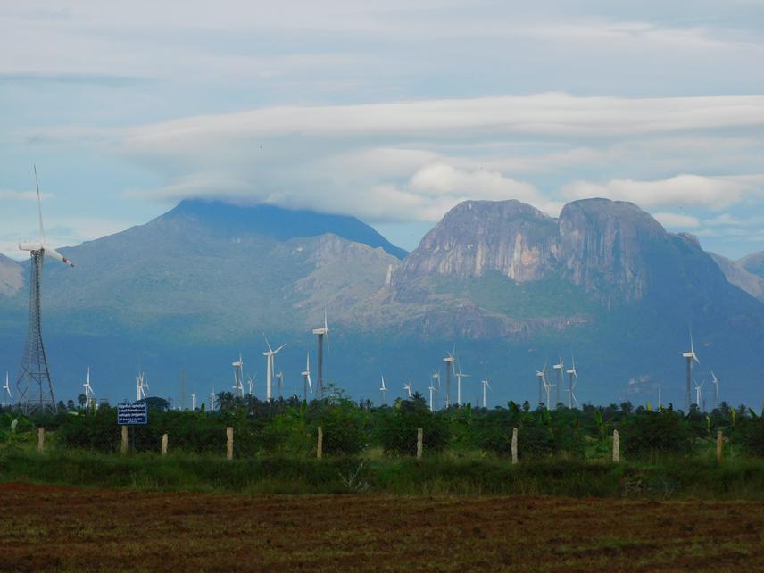 The savanna grassland landscape is transforming at a fast pace due to wind farm establishments. © S Thalavaipandi.
