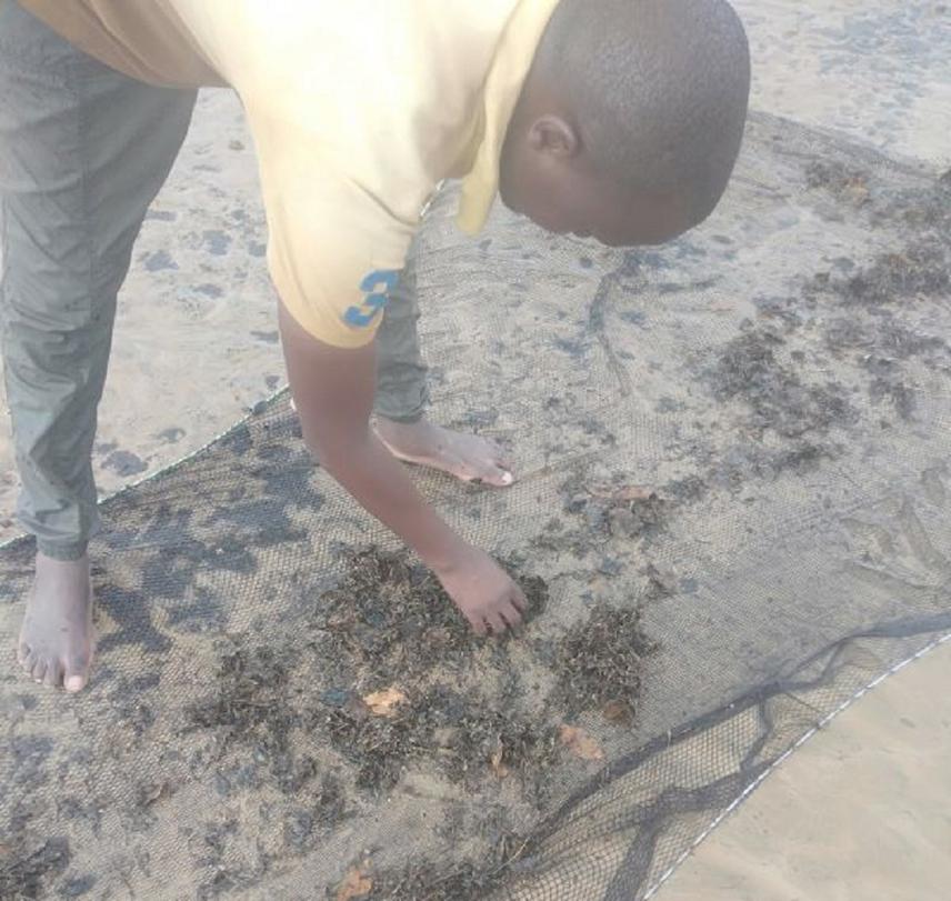 Checking and picking of plastic litter captured by fishing net by volunteer.