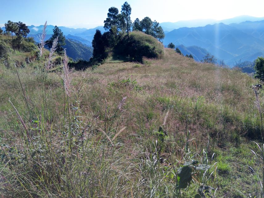 Abandoned agricultural fields in a Pauri village (field site). © Juno Negi.