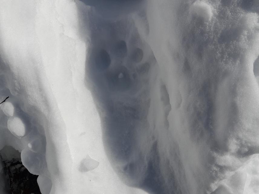 Snow leopard’s pugmark in Manaslu Conservation Area. © Sachet Timilsina