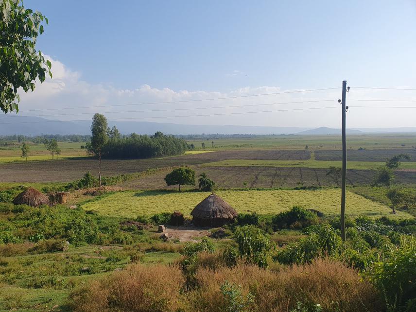 Wetland Conversion to Agricultural Land.
