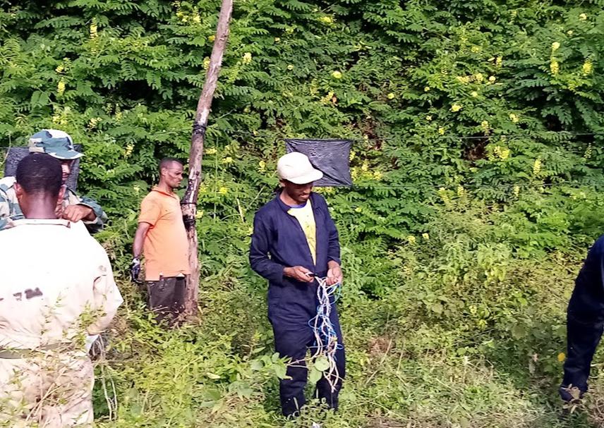 Chilly Fencing Practice at Seri Demonstration Site.