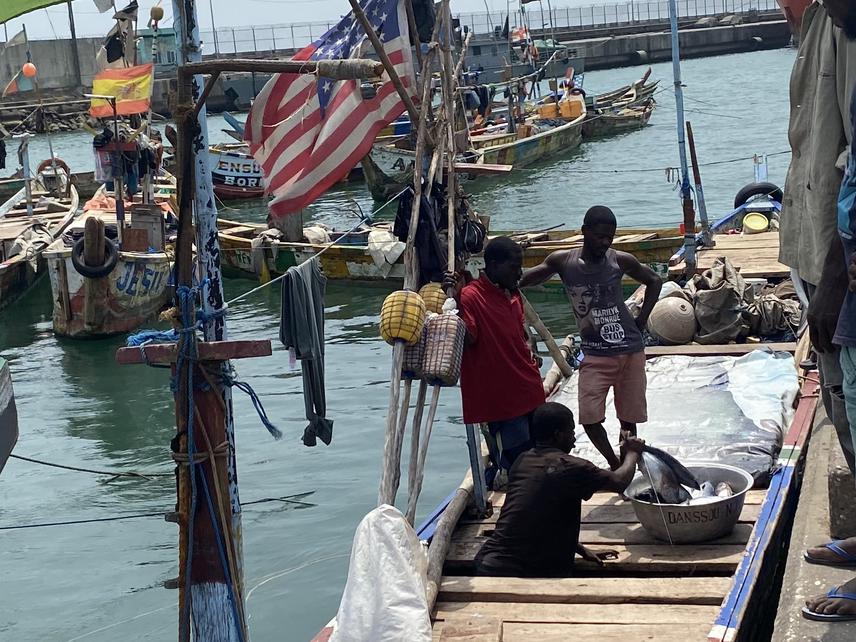 The fishermen are taking out the catches of sea fishing kept in watertight boxes containing ice and placed in the holds of the boats. © SIDI IMOROU Rachad.