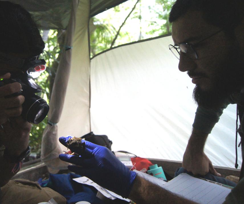 On the right E. Aarón Chávez-Ramírez, who is the leading the project. ©Grisel Oaxaca-Oñate.
