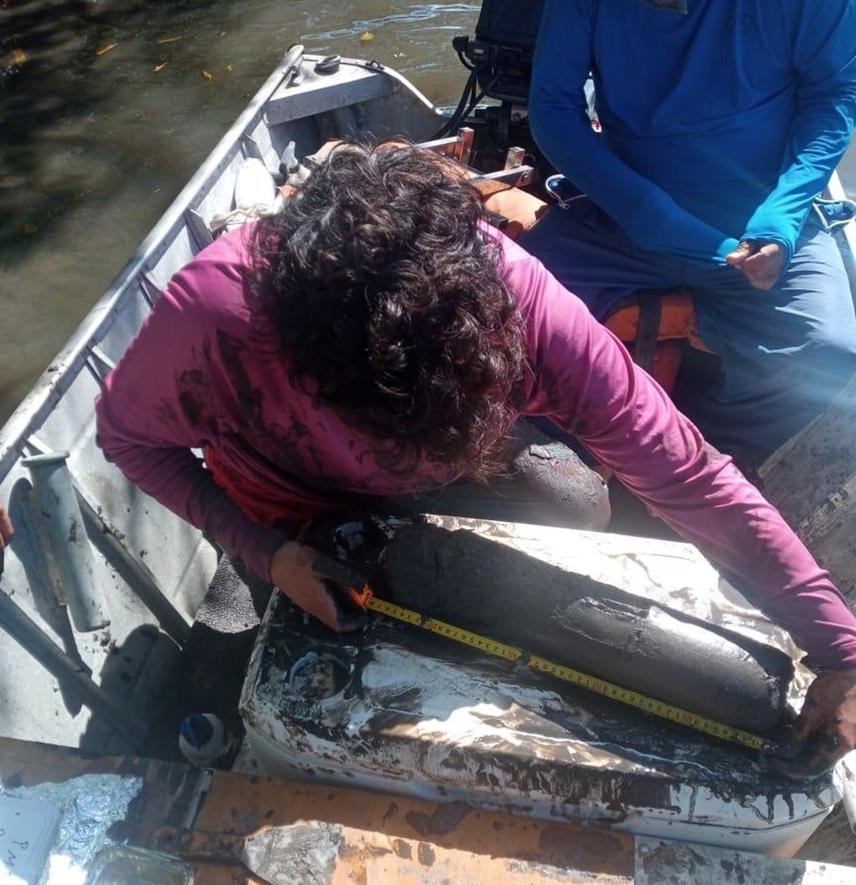 Sediment cores sampled at the Piraquê Açú-Mirim estuary