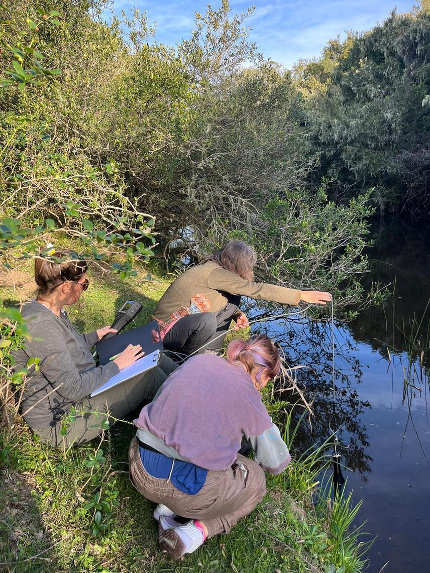 Taking water samples in a sampling campaign.