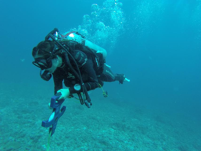 Conducting underwater visual census surveys to collect information on the status of coral reefs. © Stuart Laing, UniSey/GIF