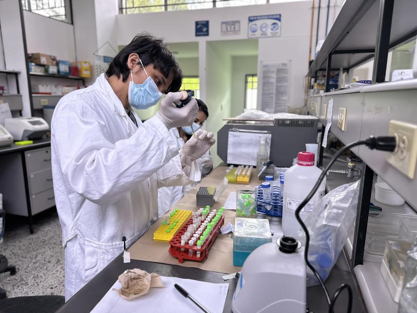 Laboratory work for DNA extractions (c) Alexandra Pineda-Munoz