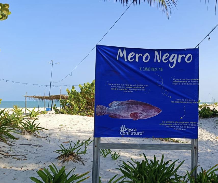 Celestun, Yucatan, Mexico. © Leopoldo Palomo.