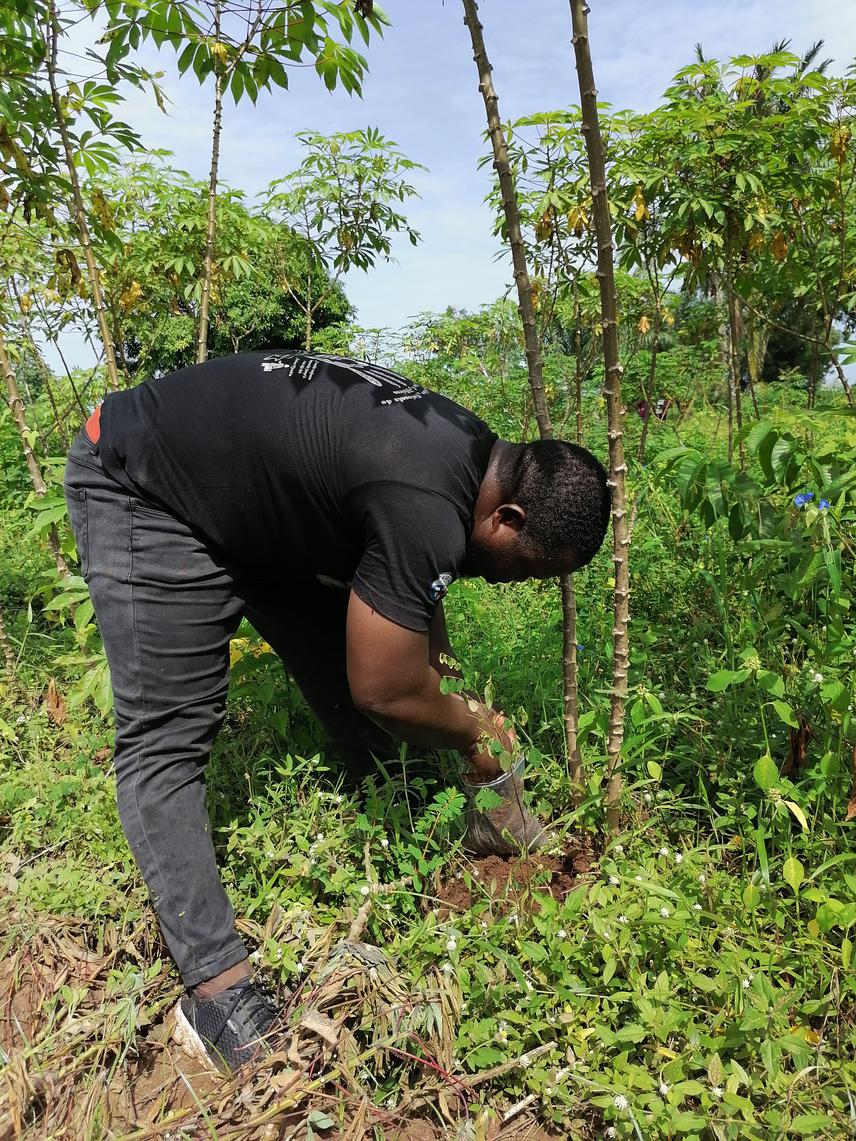 Sampling of agricultural soils in southern Benin. © Tchan Issifou Kassim.
