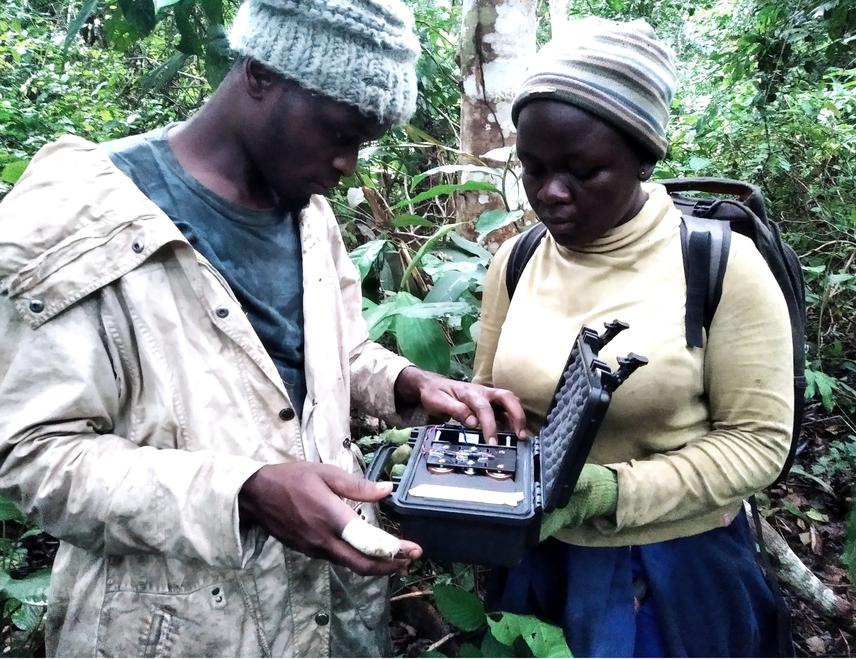 Local guide manipulating SWIFT Betta Recorder. ©DR Alain Wandji