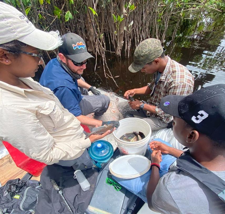 Devya Hemraj-Naraine and team removing fish from the gillnet. © Elion Beaton & Dillon Ross.